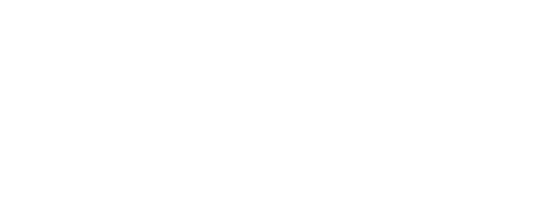 2024 logo with strap